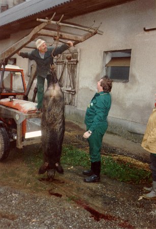 Wildschweinessen_00a.jpg