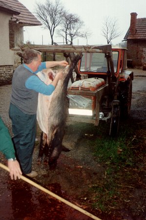 Wildschweinessen_04.jpg