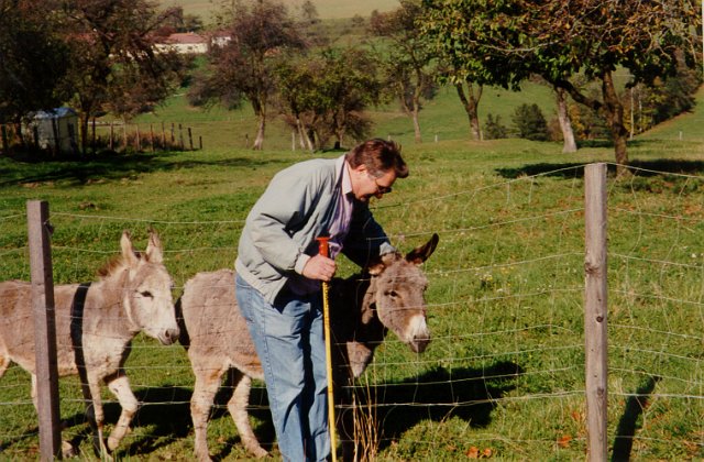 Familienwandertag_08.jpg