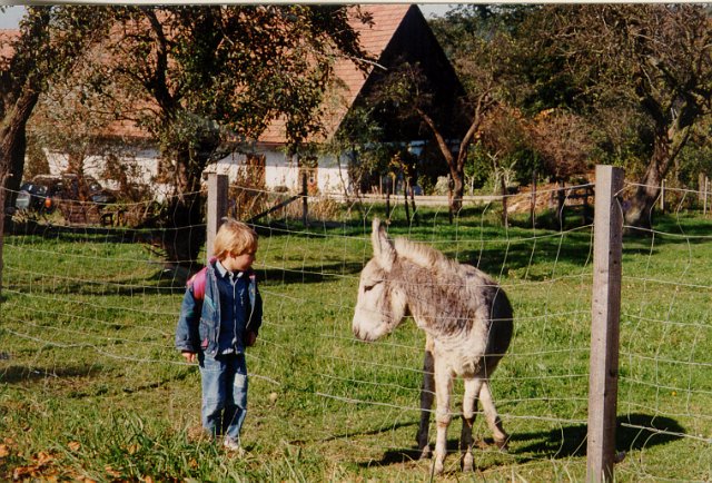 Familienwandertag_09.jpg